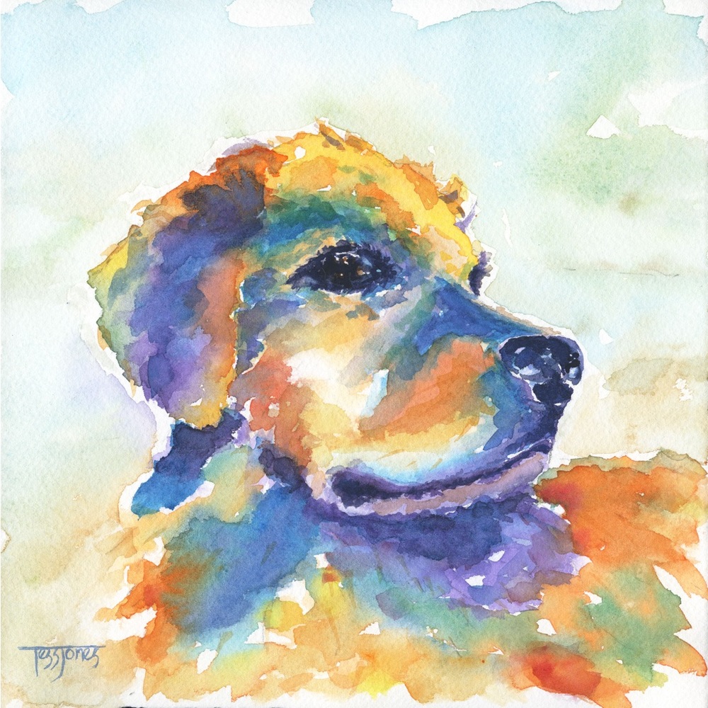 Meet your Posher, Tess Jones